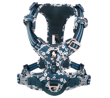 Comfort Control Dog Harness